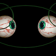 6.png Free rigged eyes of a shy goddess