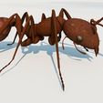 formiga3.jpg A simple and perfect ant