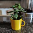 MugVaseBackground.jpg Mug IKEA Mini Cactus Pot