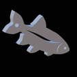 Common-rudd-keychain-2d-6.png common rudd fish 2d keychain / pendant