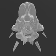 Screenshot-108.png Saber tooth skull HYBRID