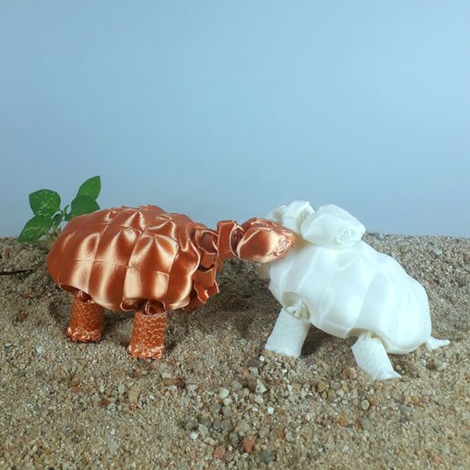 2.jpg STL file Flexi Giant Galapagos Tortoise・3D print object to download, 3dprintingfun