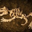 Dino_Skeleton_05.jpg STL file Flexi Dino Skeleton・3D printable design to download