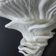 05.jpg STL-Datei Wandregal "Djamor Fungus"・3D-druckbare Vorlage zum herunterladen