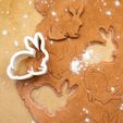 IMG_3240.jpg Rabbit cookie cutter