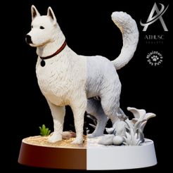 IMG_2317.jpeg Scratch - Perro de Baldur's Gate 3