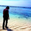shaf7895