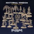 resize-portadas-cuadradas-nocturnalkingdom-knight.jpg Nocturnal Kingdom - MINIATURES DECEMBER 2022