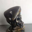 PSX_20200615_130032.jpg Skull Mecano Harley Davidson