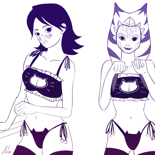 Star Wars - Ahsoka and Barriss Kitty Lingerie - StencilFree STL File for  Cults