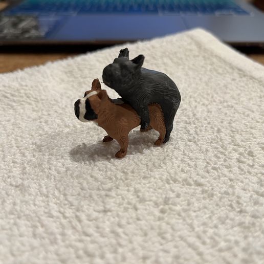 Divertidos Bulldogs del Amor