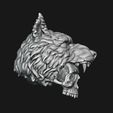 14.jpg Skull wolf scalp