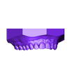 Maxillary.stl STL file Digital Orthodontic Study Models with Virtual Bases・3D printing idea to download