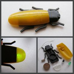 collage.jpg STL-Datei Firefly Light Toy / Keychain・Design für 3D-Drucker zum herunterladen