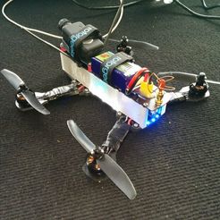 IMG_20150802_143742.jpg 3D-Datei Minion Quadcopter Seitenteile kostenlos・3D-Drucker-Design zum herunterladen