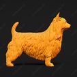 655-Australian_Terrier_Pose_01.jpg Australian Terrier Dog 3D Print Model Pose 01