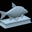 Bream-statue-26.png fish Common bream / Abramis brama statue detailed texture for 3d printing