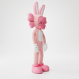 Kaws_Bunny0041.png KAWS ACCOMPLICE RABBIT
