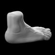 Foot-Vase-Pen-Holder-Anatomy-Pie-Moad-STL-1.jpg Foot Vase Vase - Foot Penholder - Pies Pies Macetero - Anatomical Sculpture