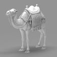 Detailed-Arabian-Camel-Saddled-Desert-Mount.jpg Detailed Arabian Camel - Saddled Desert Mount