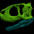 7.png Череп Ругопса