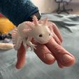 Bezaubernder Axolotl mit Gelenk, bedruckter Körper, einrastbarer Kopf, niedlicher Flexi
