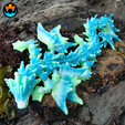 10.png Archivo STL Ocean Dragon, CINDERWING3D, DRAGÓN FLEXIBLE ARTICULABLE, PRINT-IN-PLACE, ¡SIN SOPORTES!・Plan para descargar y imprimir en 3D