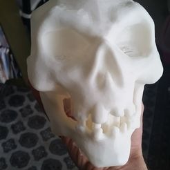 20180327_090718.jpg STL-Datei Cartoon-Totenkopf・3D-druckbare Vorlage zum herunterladen