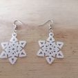IMG_20221212_133937.jpg Earring Christmas Snowflake 2