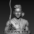 20200528_28.jpg Hawk Eye | Avengers