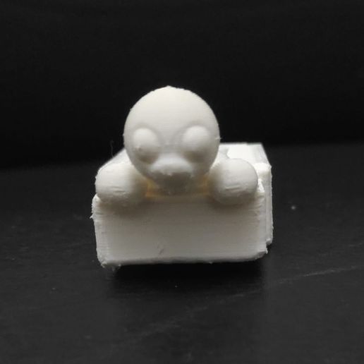 TurtleMatchbox13.jpg Boîte d'allumettes pour tortues