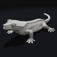 Lick3.png Crested Gecko Lizard Pet