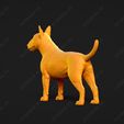 2867-Bull_Terrier_Miniature_Pose_02.jpg Bull Terrier Miniature Dog 3D Print Model Pose 02