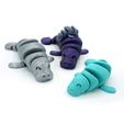 DSC01411-copia.jpg STL-Datei Articulated Manatee・3D-Druck-Idee zum Herunterladen