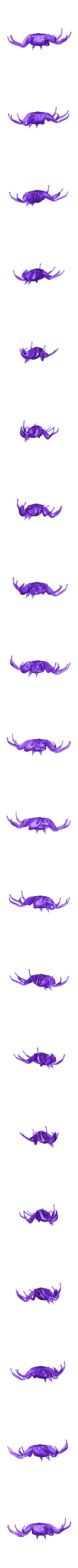 Ghost_Crab.stl Ghost Crab