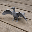org.png Cormorant
