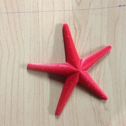 IMG_0424.JPG STL-Datei Starfish kostenlos・Design für 3D-Drucker zum herunterladen