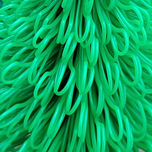 Christmas Tree/ Pine Tree