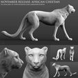 African Cheetah Patreon Release 2.jpg African Cheetah