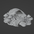 skull-hide-scrn-1.png Skull Forest Floor Hide