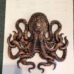 Octopus