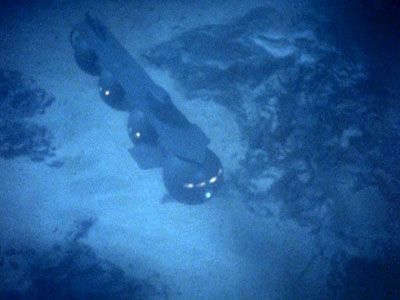 PDVD_015.jpg submarine cetacean man from atlantis