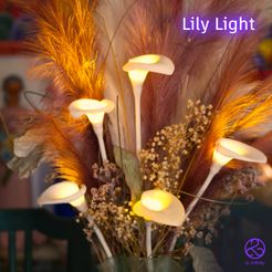 @LILY-portada.jpg Lily Light - A Blossom of Elegance and Illumination