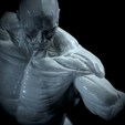 Untitled_Viewport_012.png Anatomia Humana Musculacion - Muscle Anatomy human adapted Print