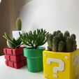 vasos-mario.jpg Super Mario World - Planter Kit - Multiparts