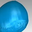 g.jpg chestnut 栗　HIGH QUALITY 3D 　SCAN　fruit　SCANNER:ATOS