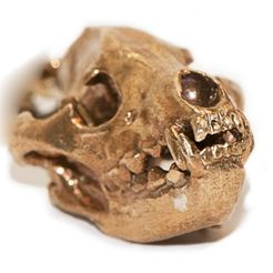 product_image_10097.jpg Free STL file Hyena Skull Pendant with Loop・3D print model to download