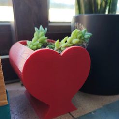 foto-macetero.jpeg Heart-shaped flower pot