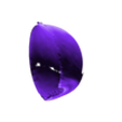 RIGHT MIDDLE LAYER (CILLIARY, IRIS,CHOROID).stl 34 PARTS COMPLETE EYE ANATOMY WITH BRAIN, SKULL, NERVES, ARTERIES, VEINS