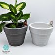 Folie6.jpg Self-Watering Plant Pot with a Gentleman Earthworm Companion